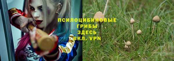 прущие грибы Семилуки