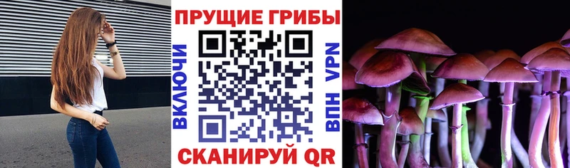 Купить закладки  Яхрома  Галлюциногенные грибы MAGIC MUSHROOMS 